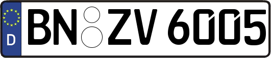 BN-ZV6005