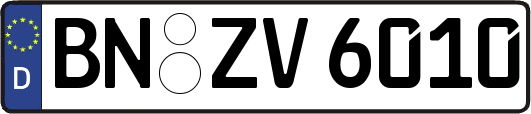 BN-ZV6010