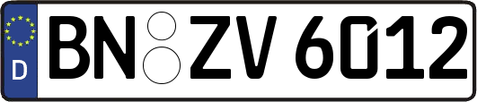 BN-ZV6012