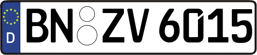 BN-ZV6015