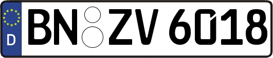 BN-ZV6018