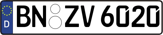 BN-ZV6020