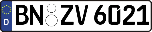 BN-ZV6021