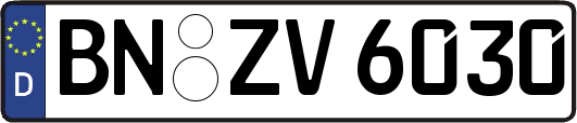 BN-ZV6030