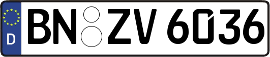 BN-ZV6036