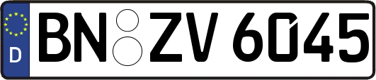 BN-ZV6045