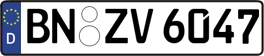 BN-ZV6047