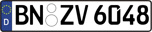 BN-ZV6048
