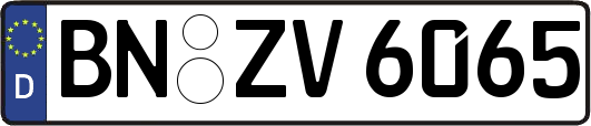 BN-ZV6065