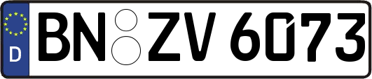 BN-ZV6073