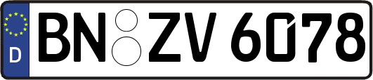 BN-ZV6078