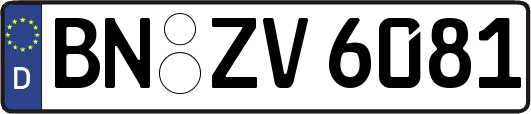 BN-ZV6081