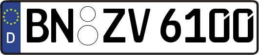 BN-ZV6100