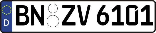 BN-ZV6101