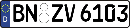 BN-ZV6103