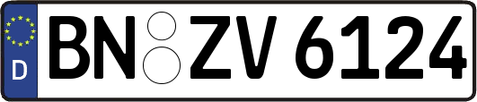 BN-ZV6124