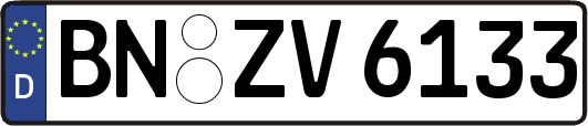 BN-ZV6133