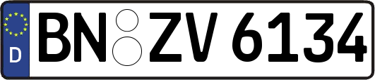 BN-ZV6134