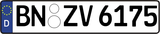 BN-ZV6175