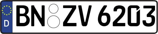 BN-ZV6203
