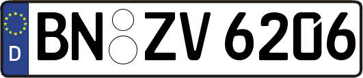 BN-ZV6206