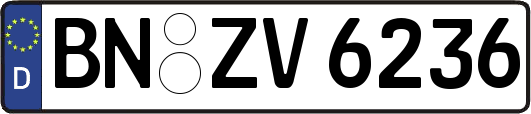 BN-ZV6236