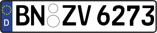 BN-ZV6273