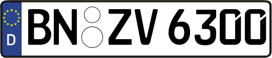 BN-ZV6300