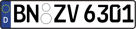 BN-ZV6301