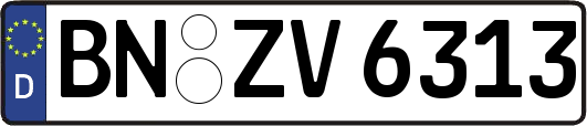 BN-ZV6313