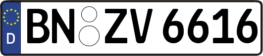 BN-ZV6616