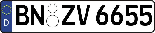 BN-ZV6655