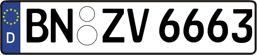 BN-ZV6663