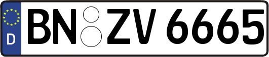 BN-ZV6665