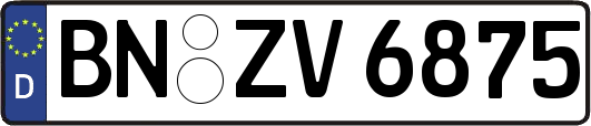 BN-ZV6875