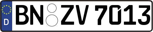 BN-ZV7013