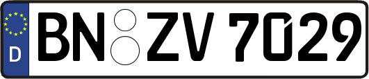BN-ZV7029