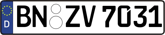 BN-ZV7031