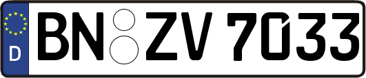 BN-ZV7033