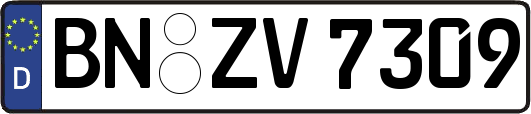 BN-ZV7309