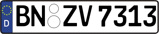 BN-ZV7313