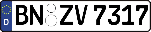 BN-ZV7317