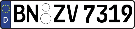 BN-ZV7319
