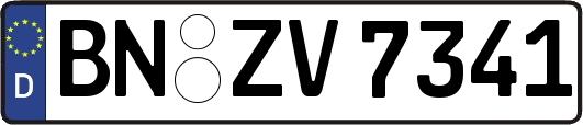 BN-ZV7341