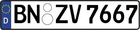 BN-ZV7667