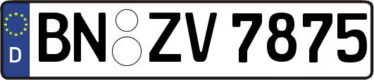 BN-ZV7875