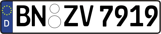 BN-ZV7919