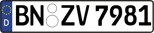 BN-ZV7981