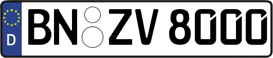 BN-ZV8000