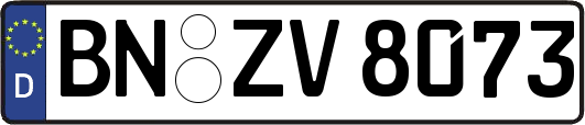 BN-ZV8073